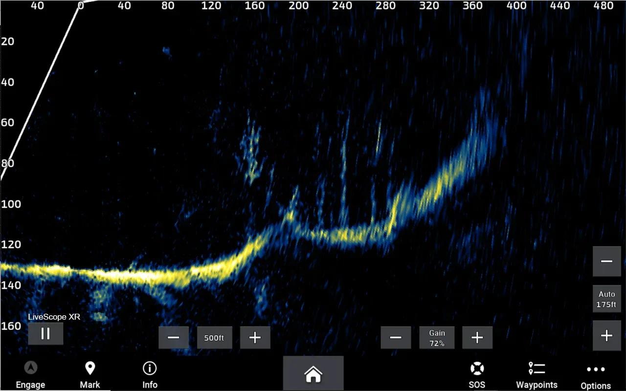 Garmin Panoptix LiveScope XR LVS62 anturi - Image 29