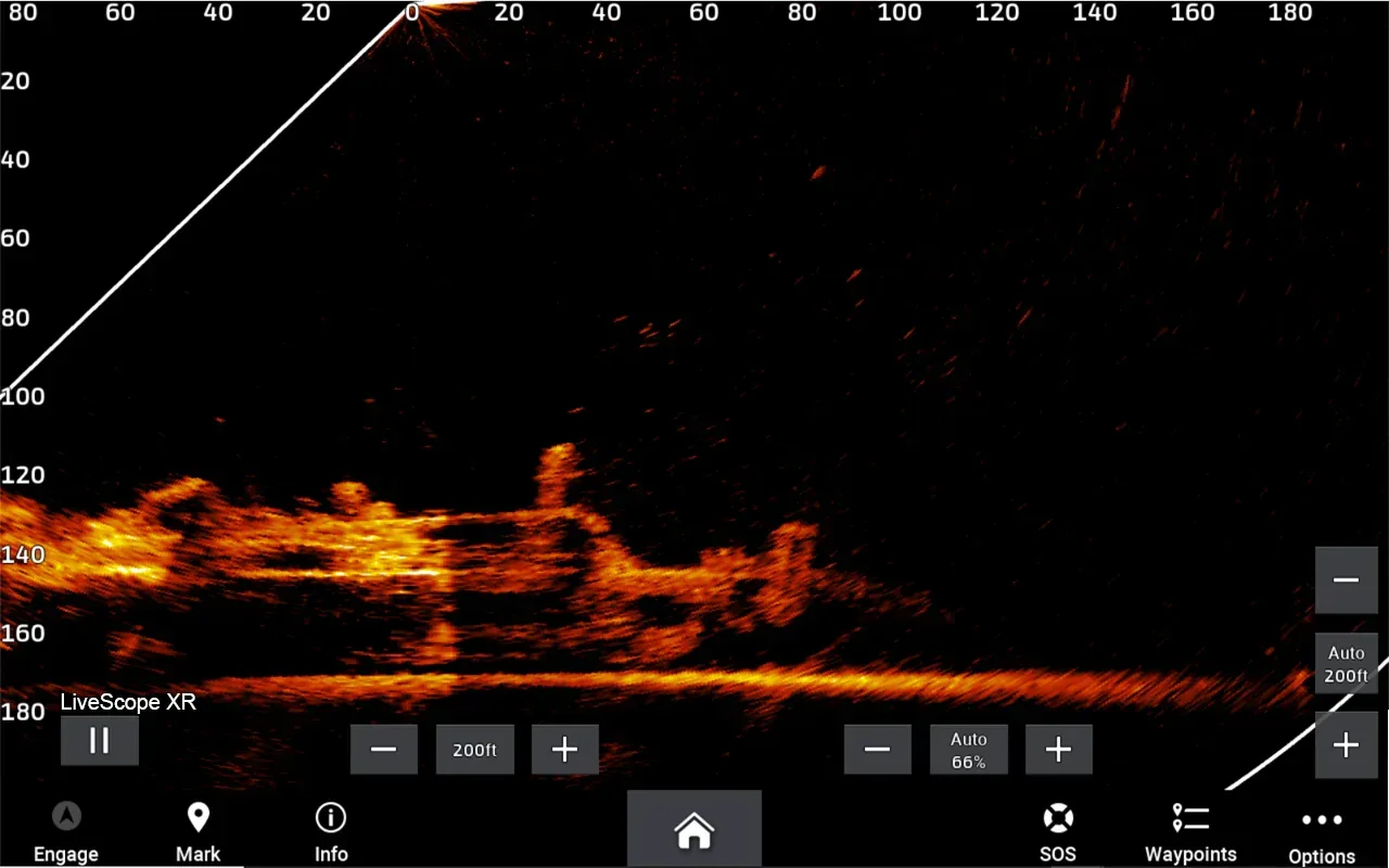 Garmin Panoptix LiveScope XR LVS62 anturi - Image 30