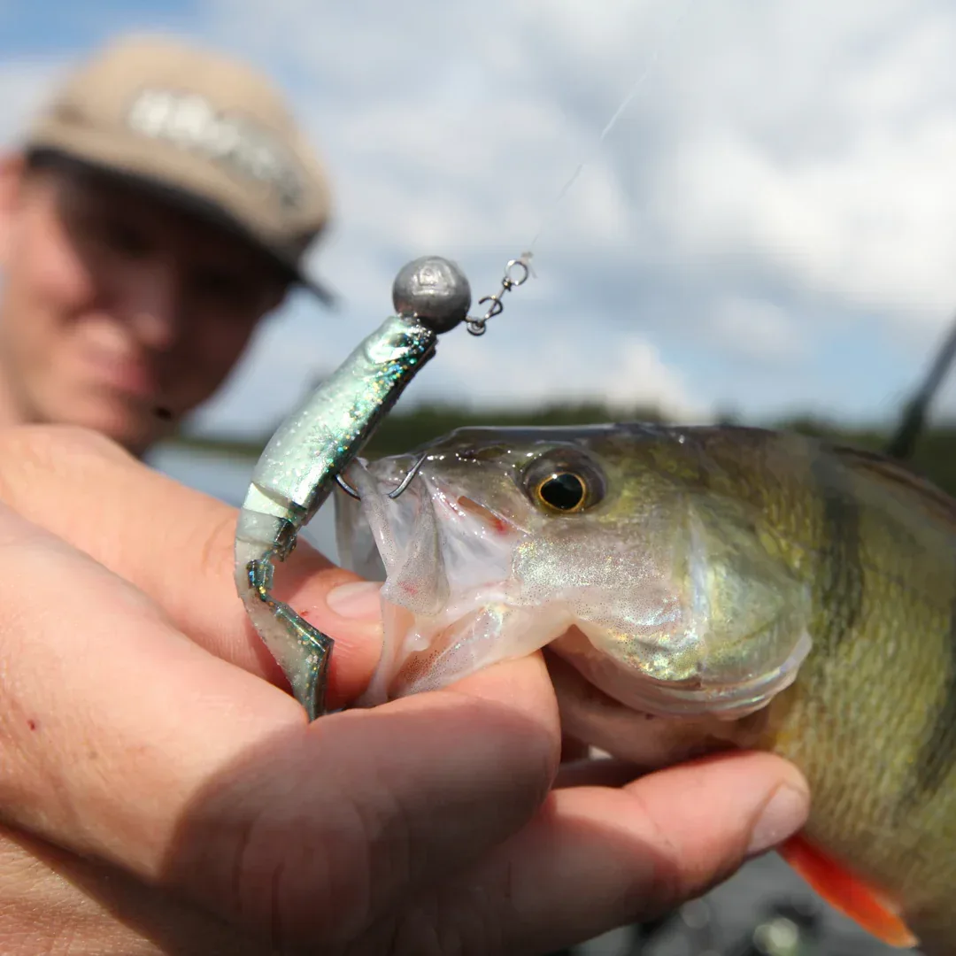 Mikado Fishunter 7 cm jigi 5 kpl/pkt - Image 2