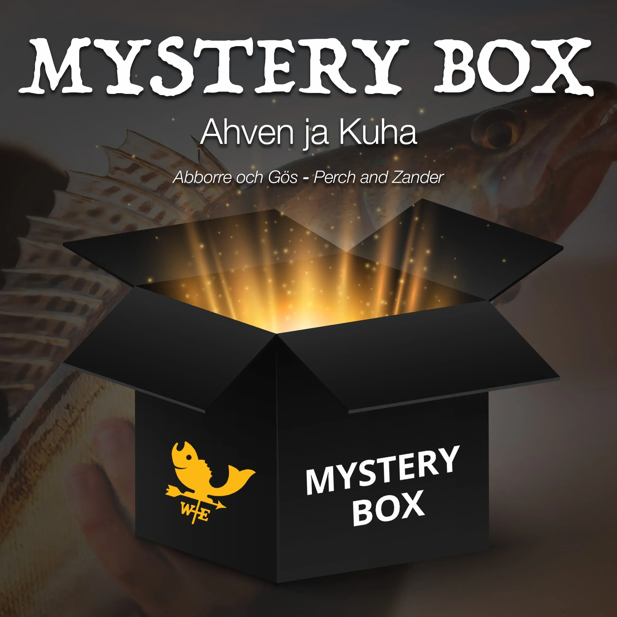 Mystery Box Ahven ja Kuha