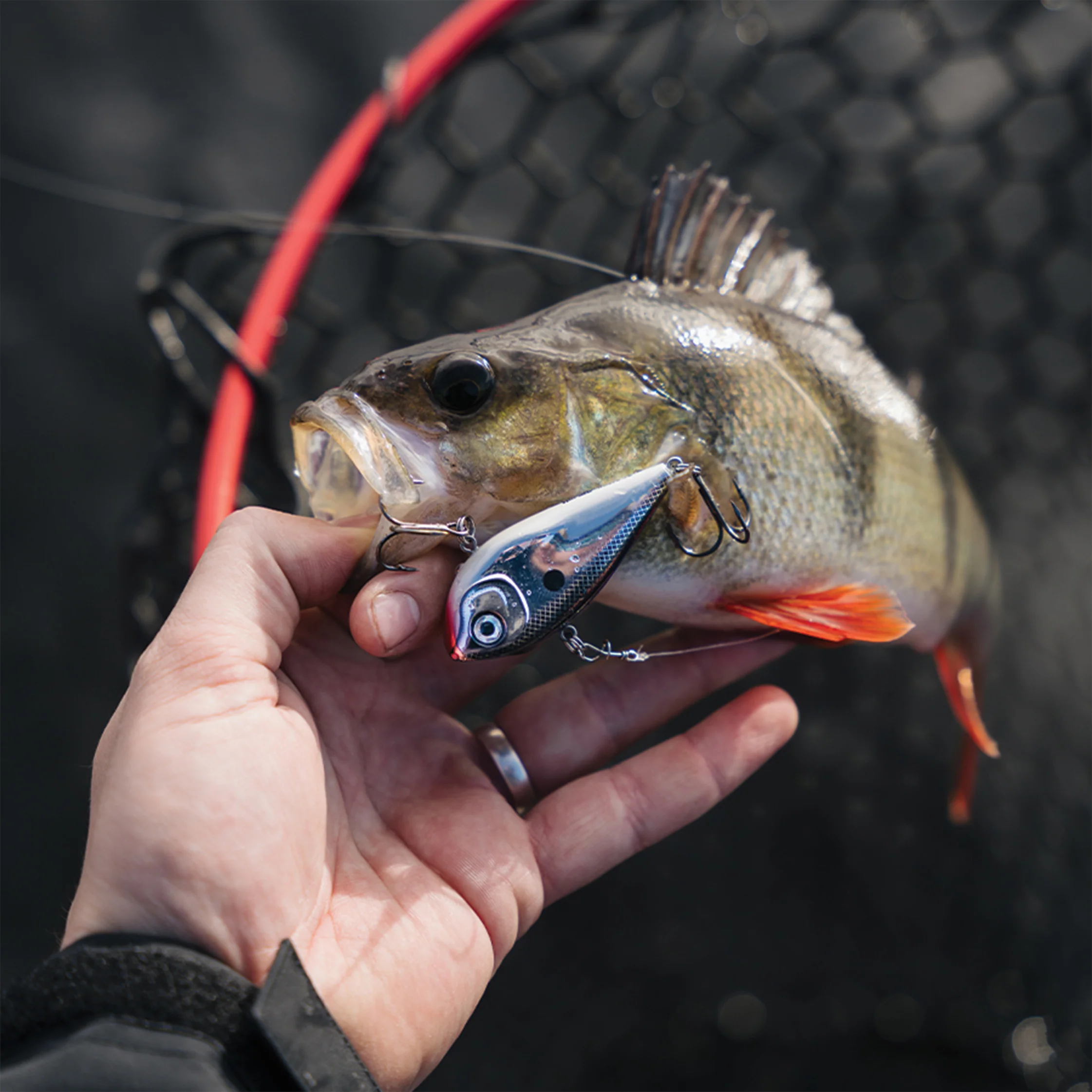 Rapala Snare 6 cm 16 g - Image 10