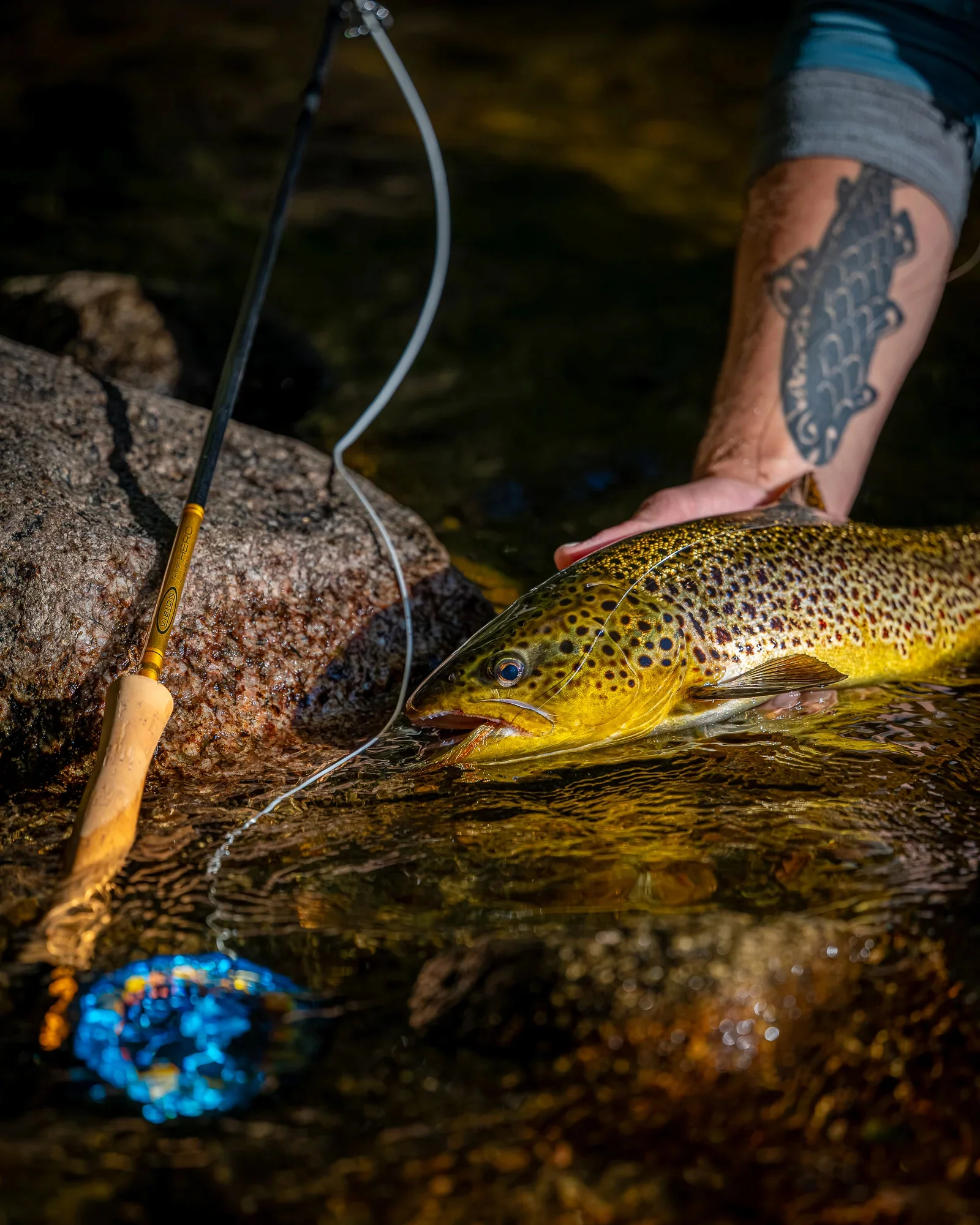 Vision Trout HERO² perhovapa - Image 3